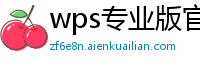 wps专业版官方下载链接怎么打开的啊苹果